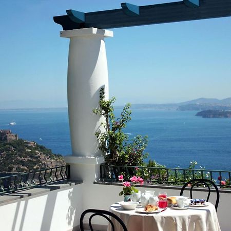 La Pergola Del Torchio Bed & Breakfast Ischia Eksteriør bilde