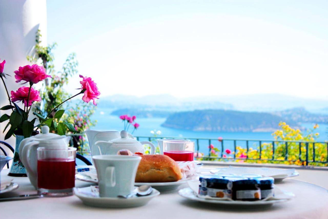 La Pergola Del Torchio Bed & Breakfast Ischia Eksteriør bilde