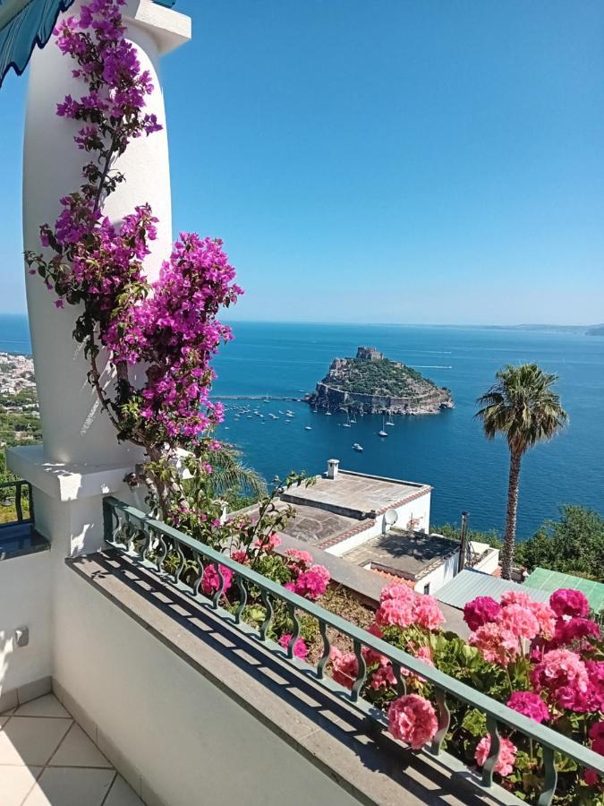 La Pergola Del Torchio Bed & Breakfast Ischia Eksteriør bilde